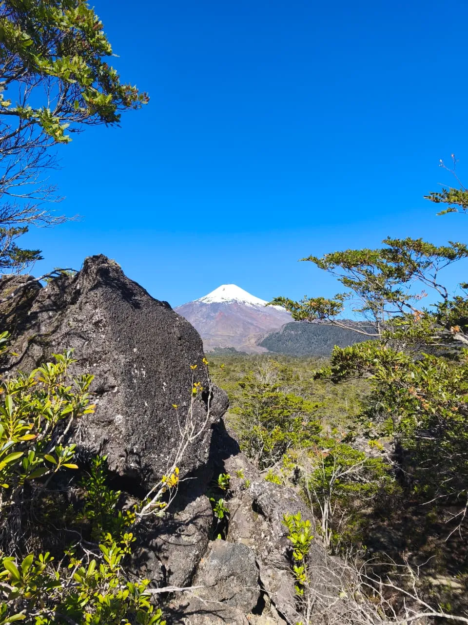 Parcela 5.000 m² Camino al Volcán, km 10 | derechos de agua | vistas espectaculares