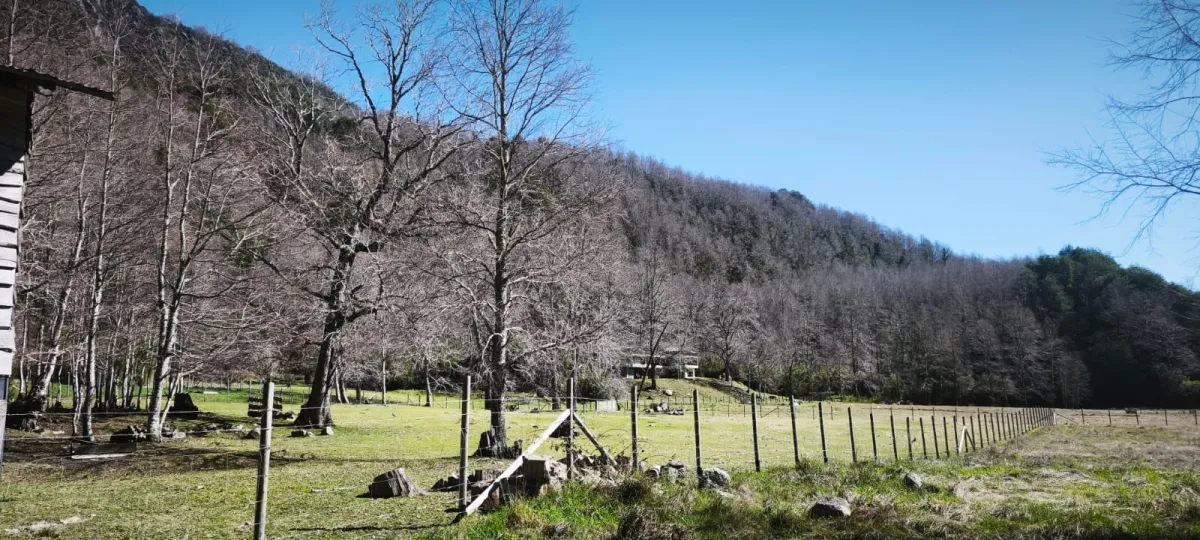 Parcela en Venta en Huife – 5.000 m² Cerca de Pucón, Termas y Río Liucura