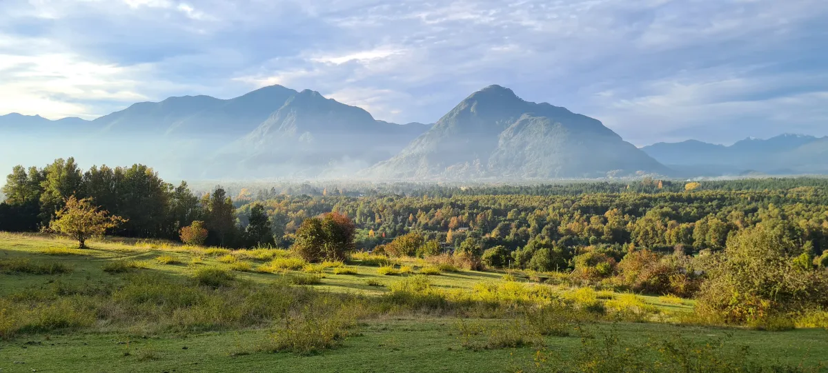 Parcela en Los Calabozos – 5.000 m² | Luz Soterrada | vista Inmejorable al valle Caburga