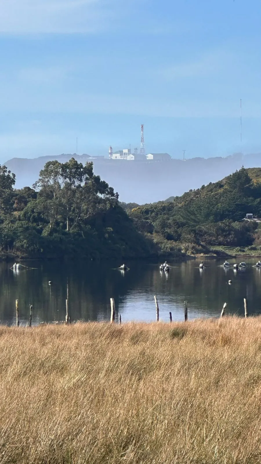 Parcela 5.000 m² Frente a Laguna Costera | Ancud, Chiloé – Vista al Faro Corona | acceso inmediato a costa del pacifico