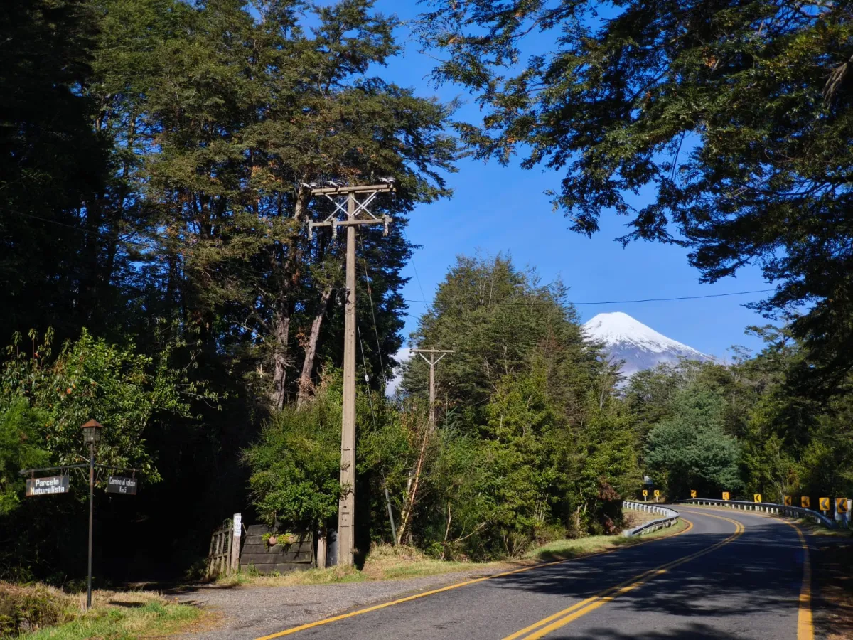 Parcela independiente 5.000 m² | Km 5 Camino Volcán – Pucón | Orilla camino - luz y agua